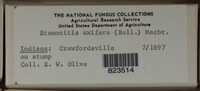 Image Associated With the Occurence